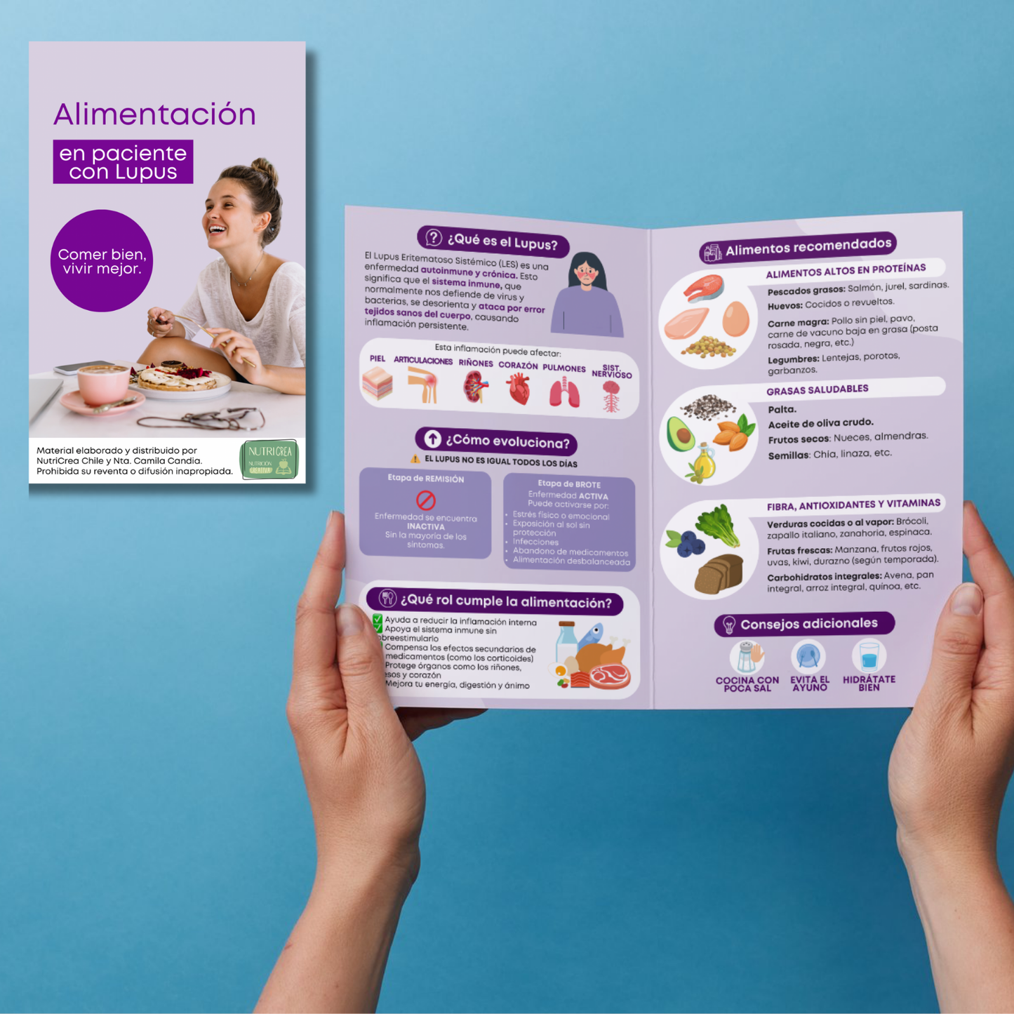 Díptico PDF Alimentación en paciente con Lupus