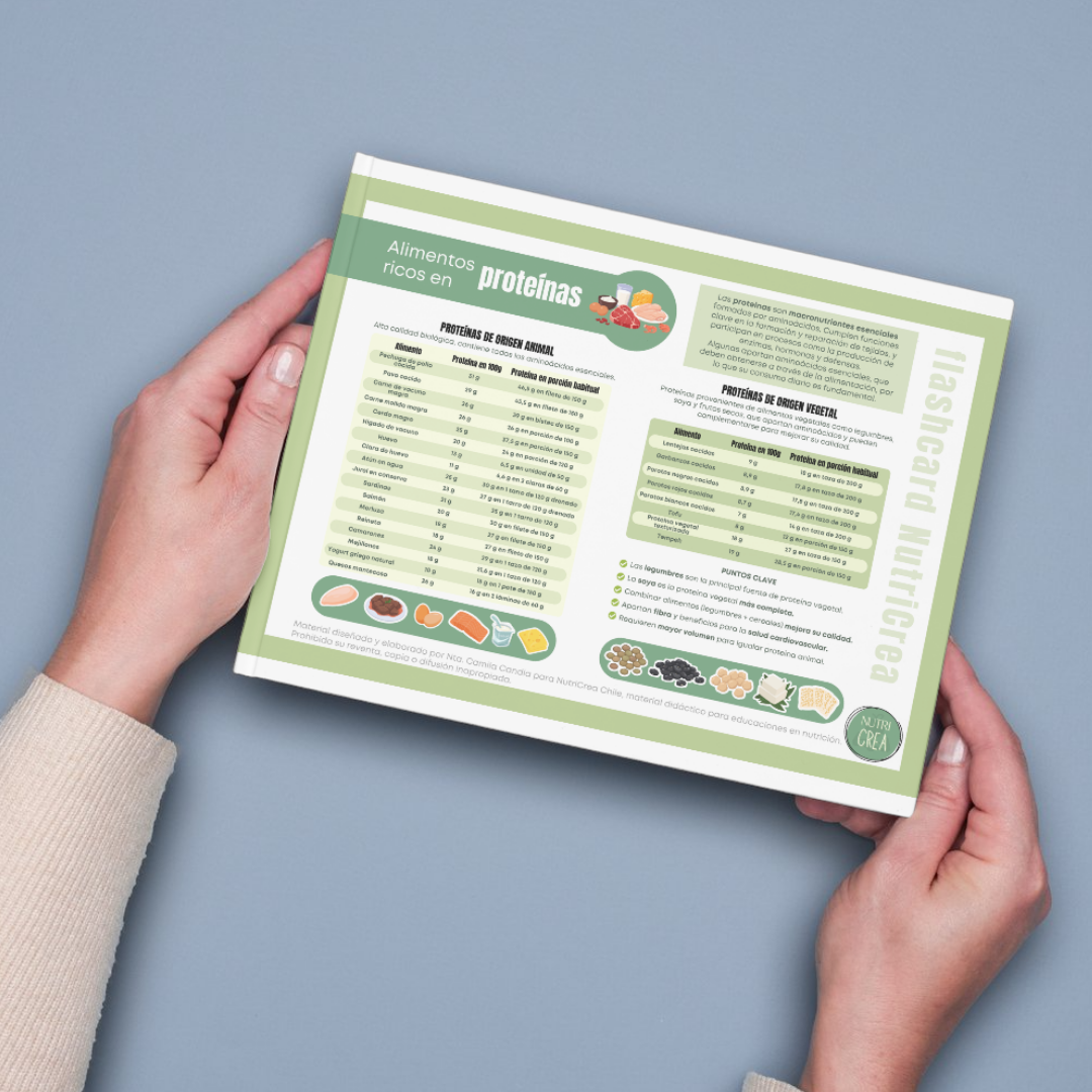 Flashcard PDF Alimentos altos en proteínas